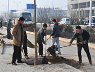 市城投集團(tuán)公司積極組織參加全市義務(wù)植樹(shù)活動(dòng)